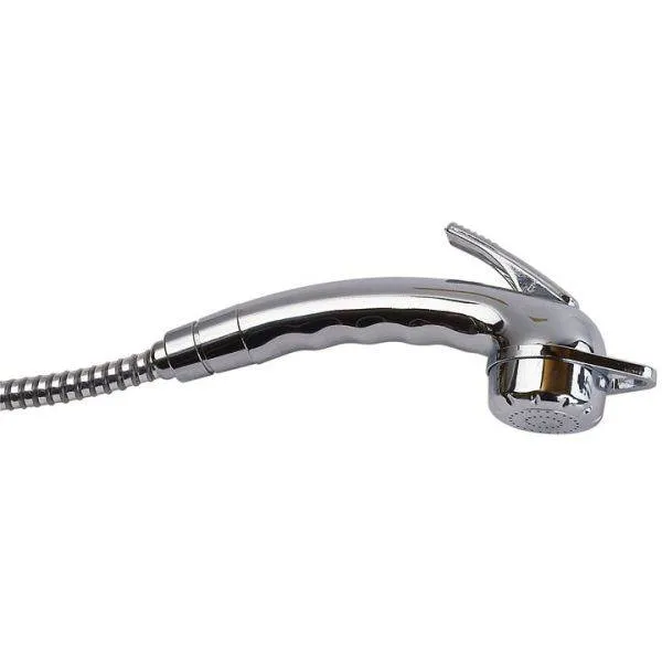 Reich Charisma Adjustable Shower Head Hose