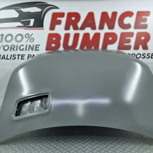 Renault Alpine A290 motorháztető (2024.09) – új, eredeti, festendő