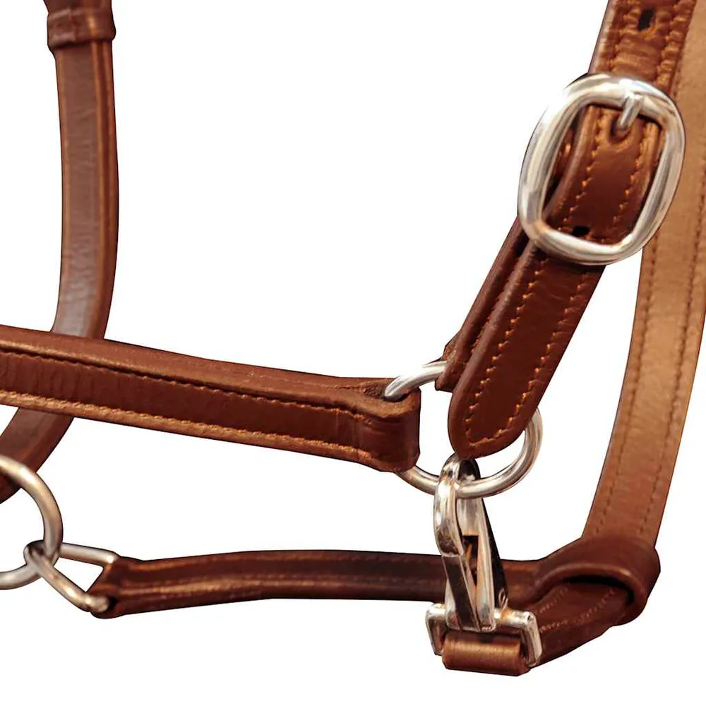 Valódi bőr állítható stabil kötőfék Pony barna